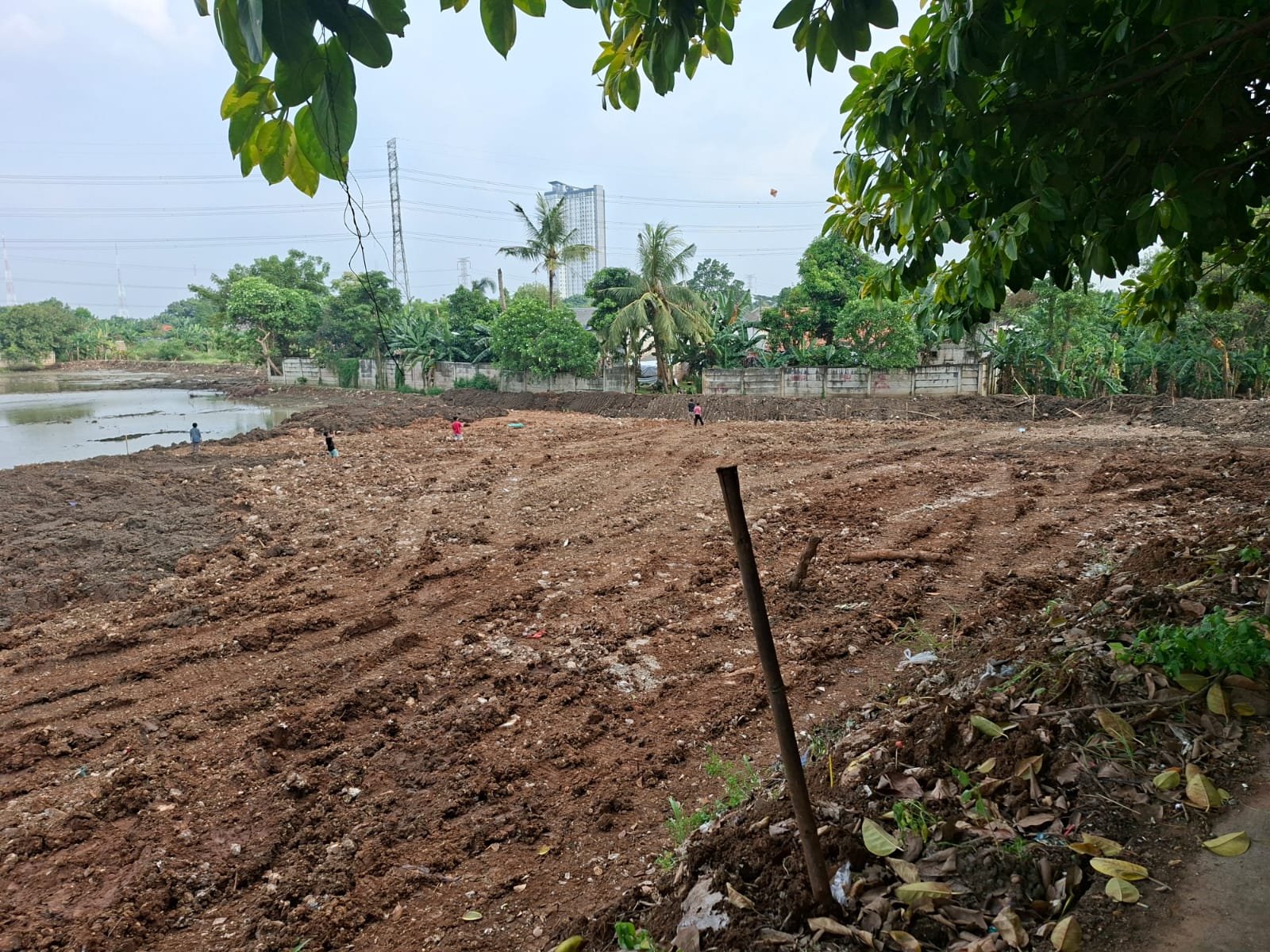 Dokumentasi lapangan TAMA, foto 39 dari 53